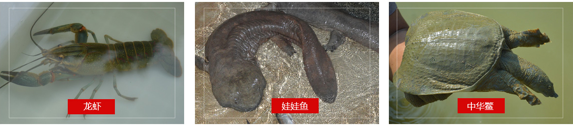 鴻源實業