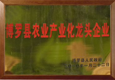 鴻源實業
